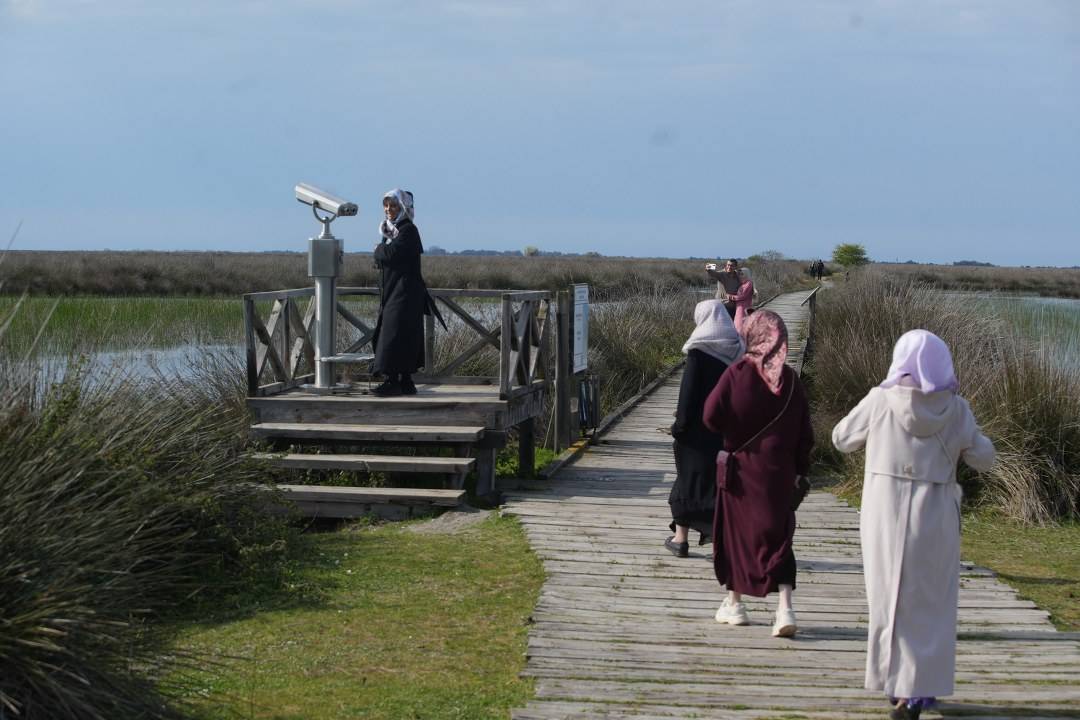 Samsun Kızılırmak Kuş Cenneti'nde  ilkbahar güzelliği