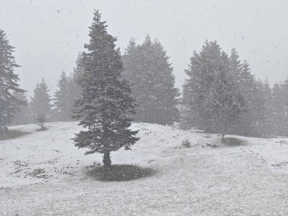 Samsun nisanda beyaz örtü ile kaplandı