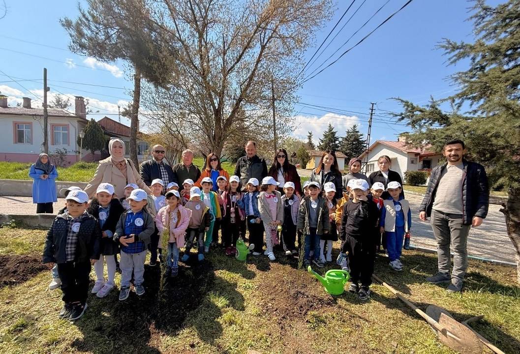 Samsun Vezirköprü’de minik eller fidan dikti