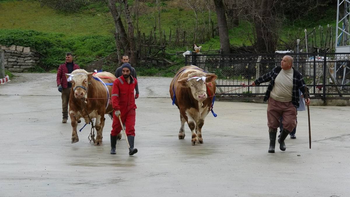 Samsun'da kurban fiyatları ne kadar?