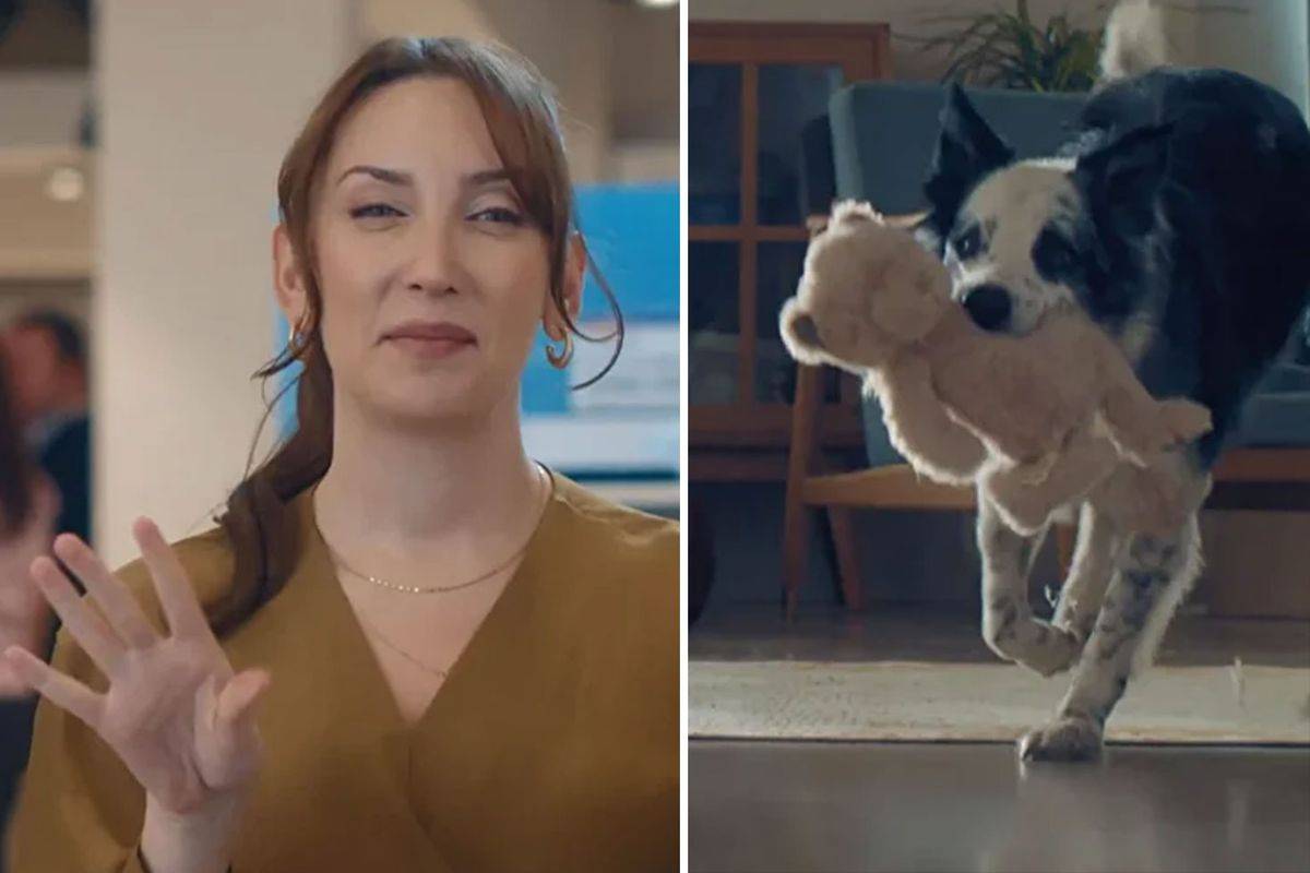Bosch reklamı neden kaldırıldı?