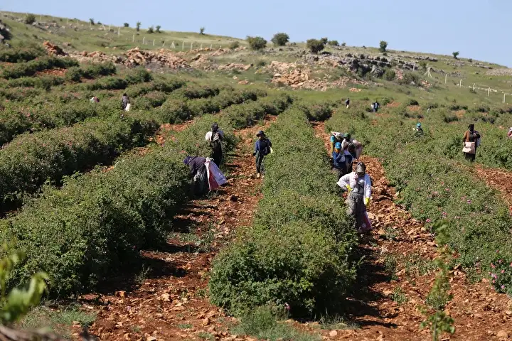 Herkesin hayaliydi ünlü sanatçı tepeden tırnağa tasarladı yaptı! Berdan Mardini'den dev yatırım
