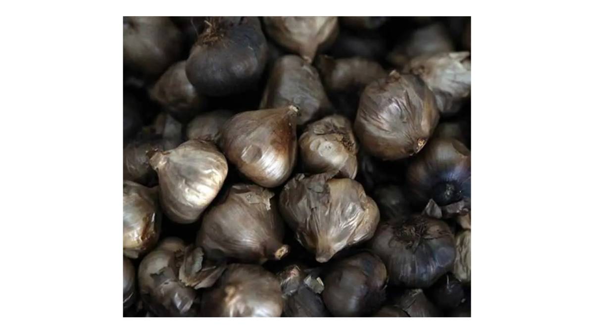 Siyah sarımsak nedir? Siyah sarımsak kokusu var mı, faydaları neler?